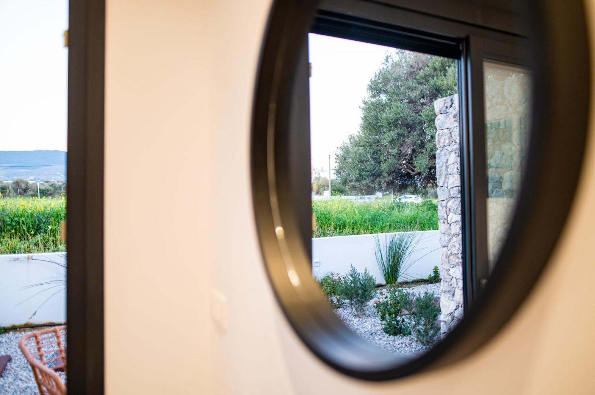 Apartment Pebble Garden Olive Branch - Magnolia